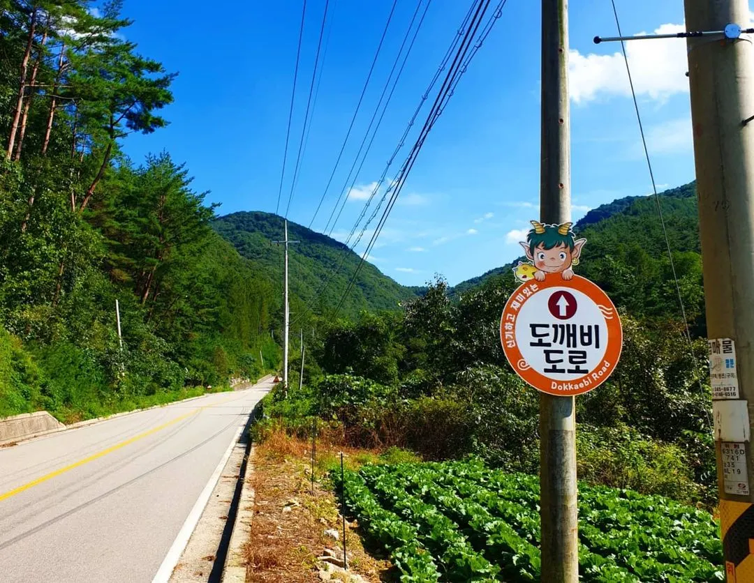 제주 내 신비의 도로 (출처 : Instagram @hong__s_r)