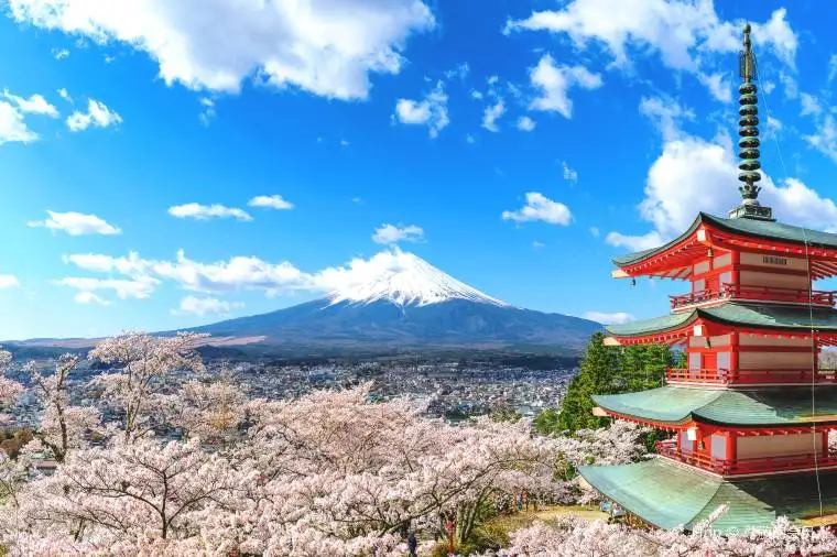 When to Visit Japan? Bests Times and 2023 Travel Tips