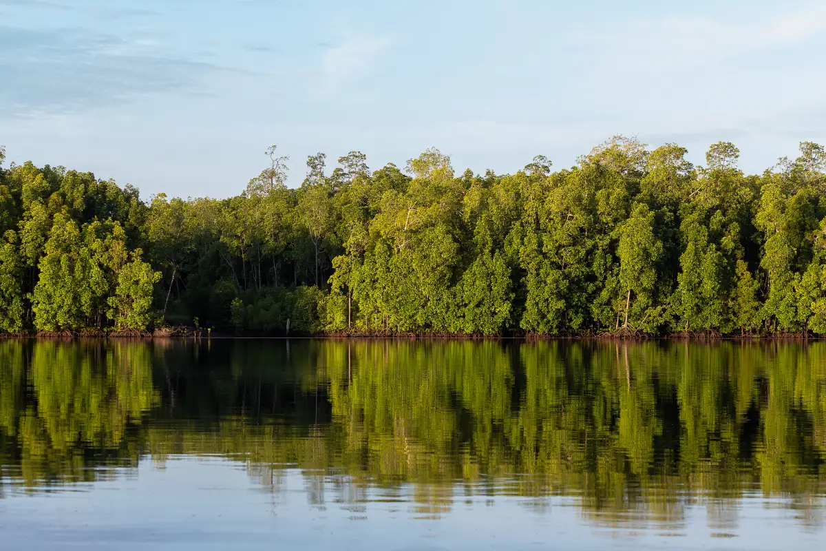 Sipadan Mangrove Resort, Tawau