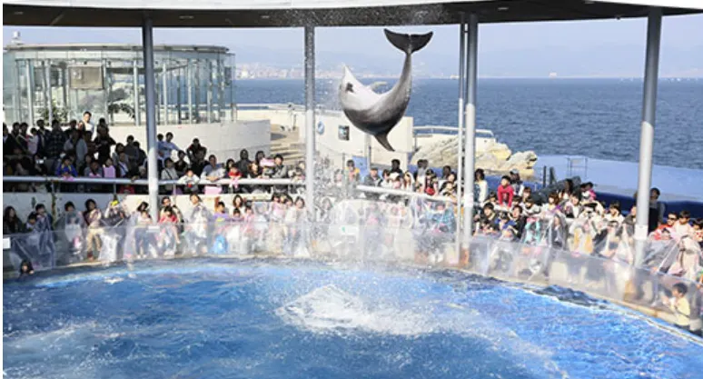 오이타 우미타마고 수족관