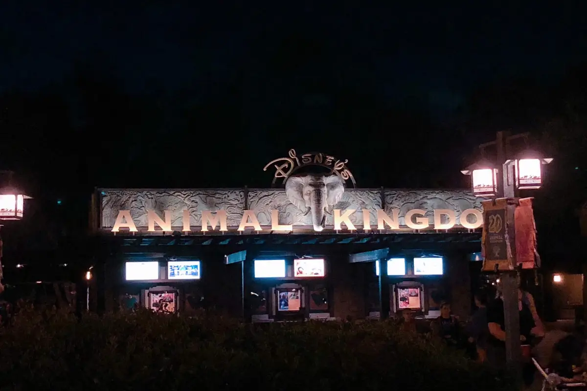 스카이 레이크 디즈니스 애니멀 킹덤 띰 파크