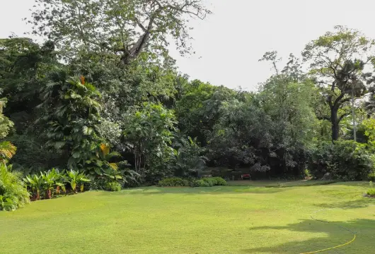 Port Moresby Nature Park