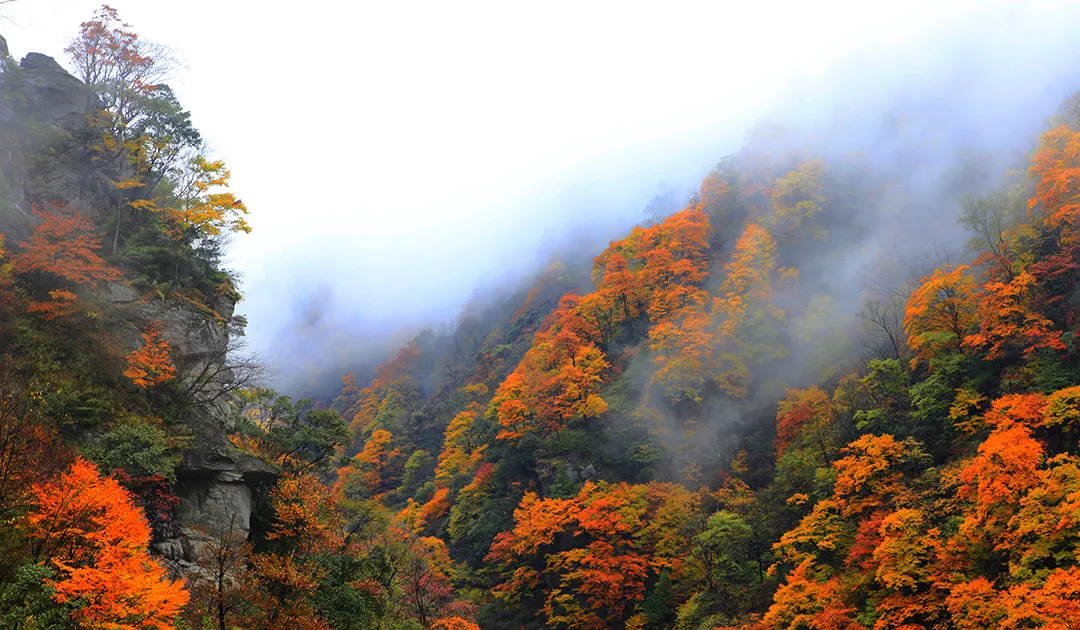 神農架的秋天