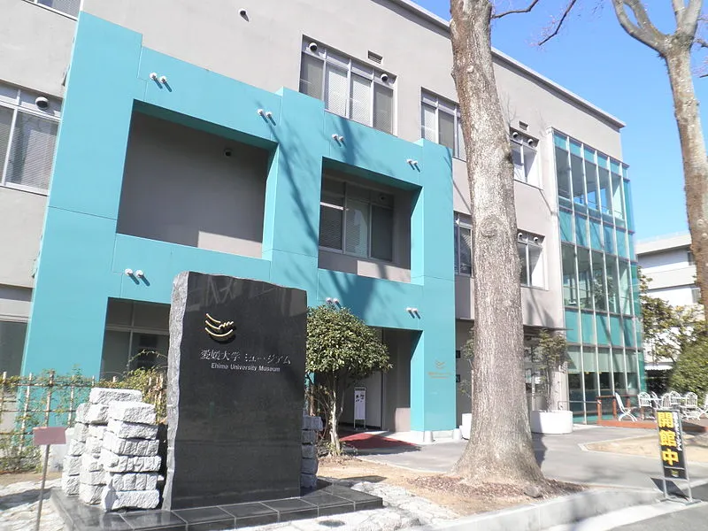 松山|愛媛大学ミュージアム|外観