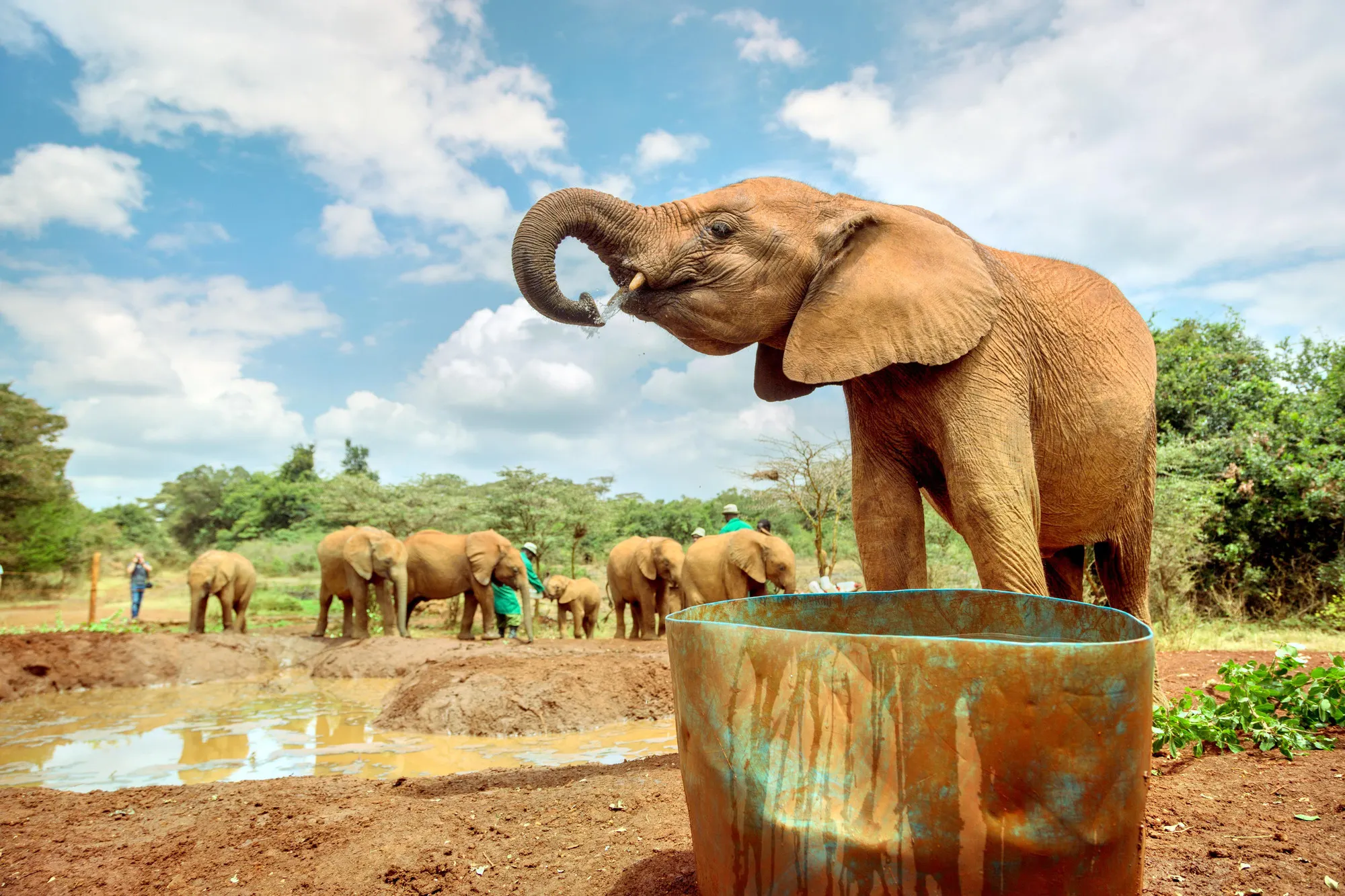 Nairobi David Sheldrick Wildlife Trust