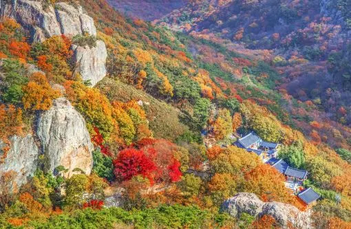 고창군 선운산 (출처: 전북도민일보)