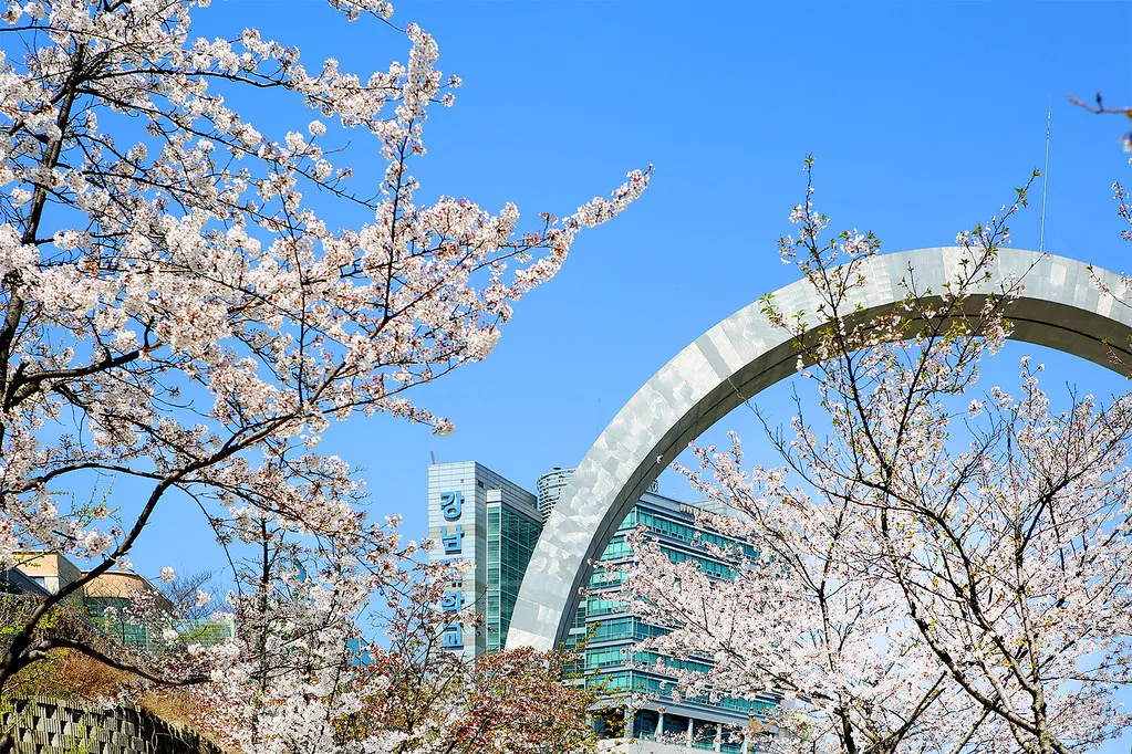용인시 강남대학교 (출처 : Flickr)