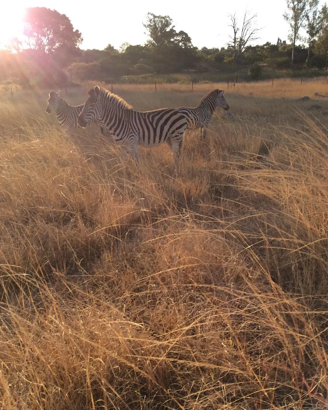 Harare Mukuvisi Woodlands