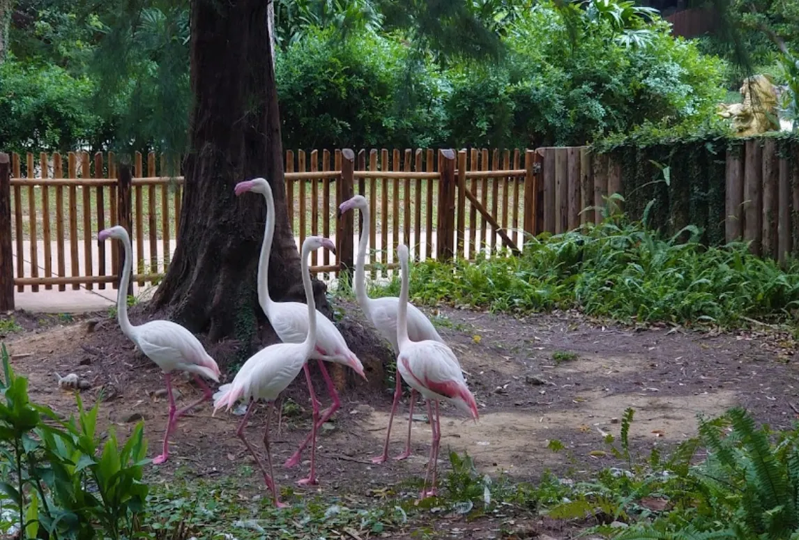 新竹市立動物園