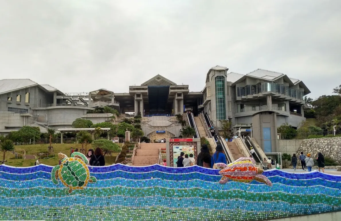 沖繩本部町美麗海水族館的海龜館