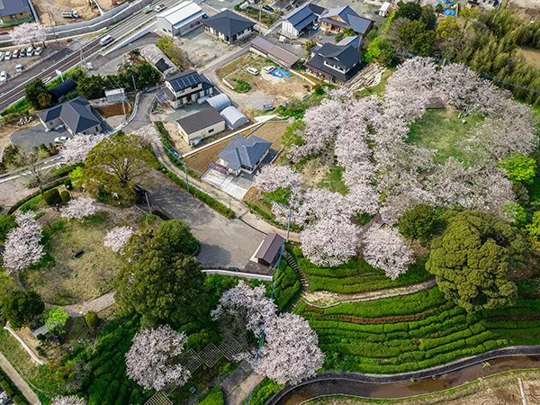 益城町｜上空より