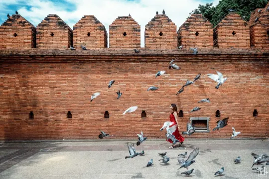 ประตูท่าแพเชียงใหม่ - จ.เชียงใหม่ (แหล่งที่มาของภาพ: ไปคนเดียว+)