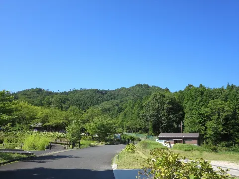 八頭町　丸瀬山