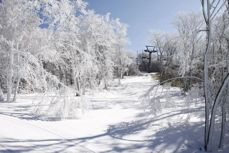 九重森林公園滑雪場雪景