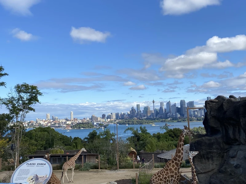 Taronga Zoo, Sydney