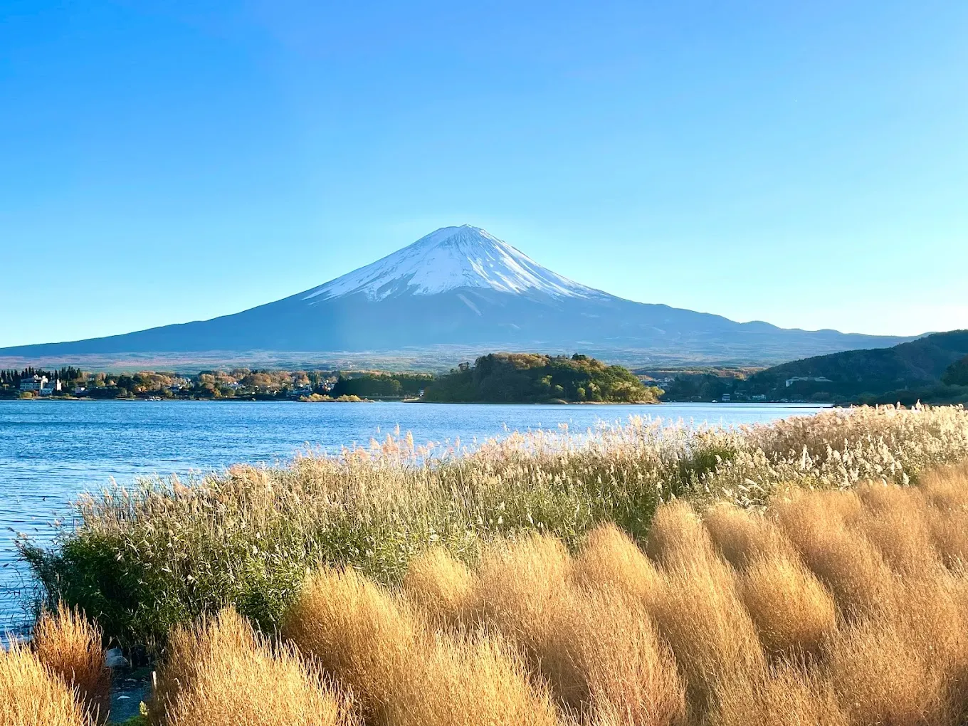 鳴澤村富士山五合目附近的大石公園