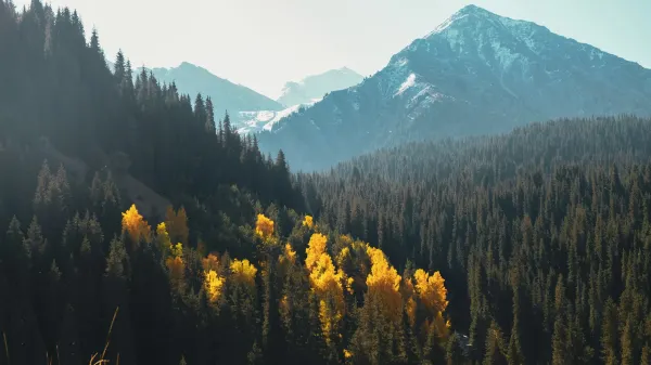 Natural landscape of Almaty. Source: Photo by Dmitry Sumskoy on Unsplash