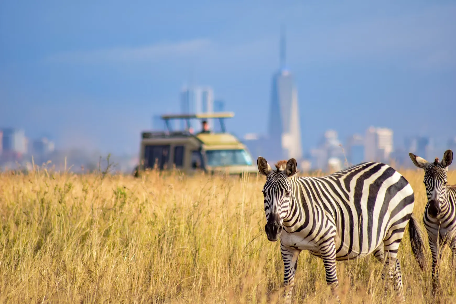 Nairobi National Park. Source: Photo by Grace Nandi / unsplash.com