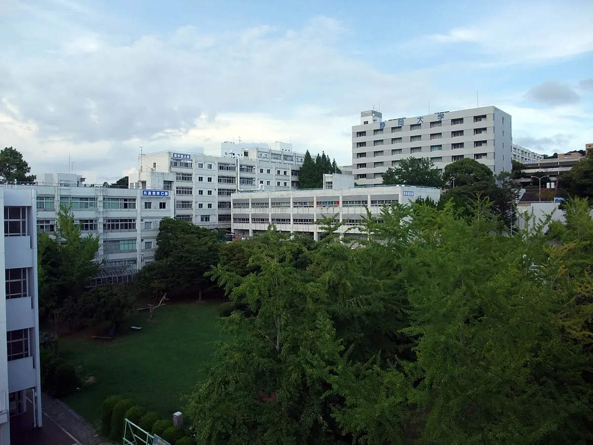 静岡市, 静岡大学,駿河区大谷