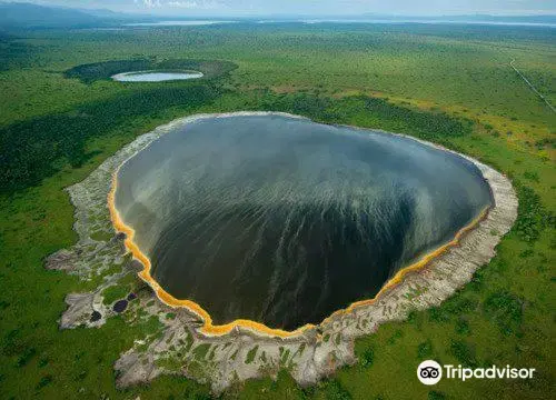 Gorillas and Wildlife Safaris, Entebbe