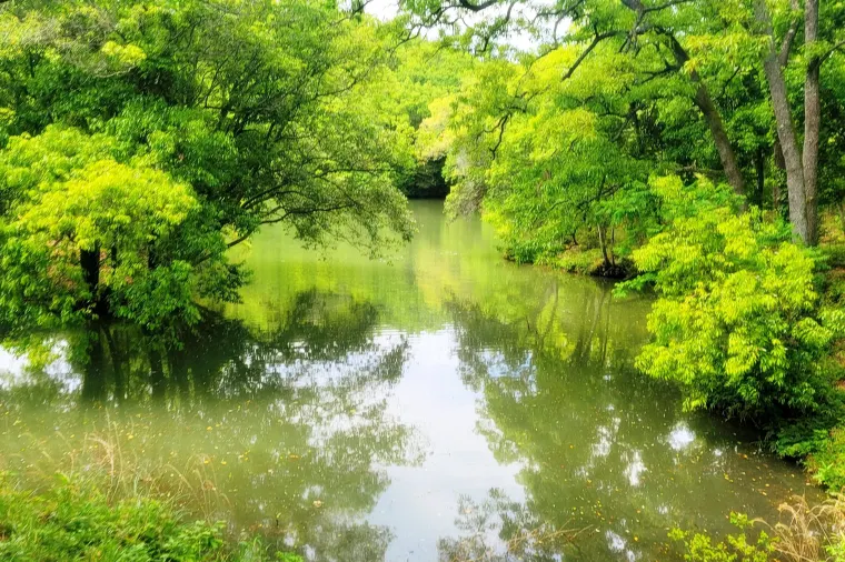 山口県 山陽小野田市 江汐公園