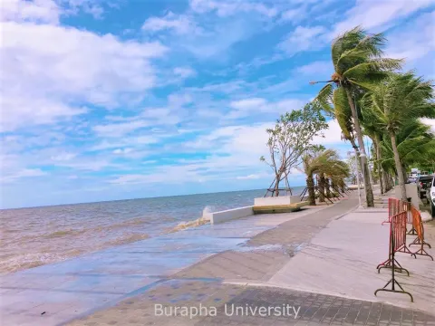 ชายหาดบางแสน แหล่งท่องเที่ยวใกล้มหาวิทยาลัยบูรพา