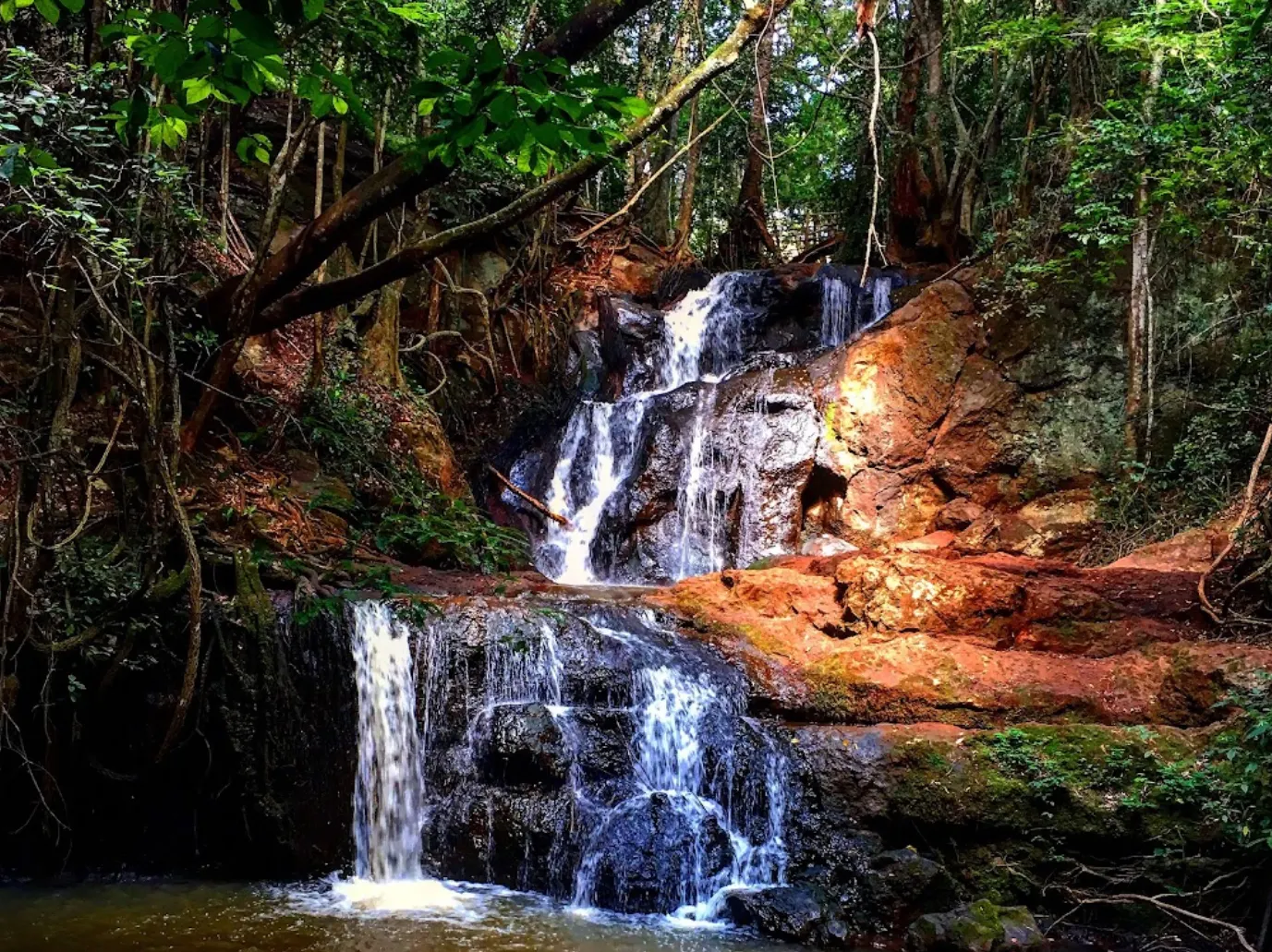 Karura Forest, Kikuyu. Source: Google Maps@Anik Adamali