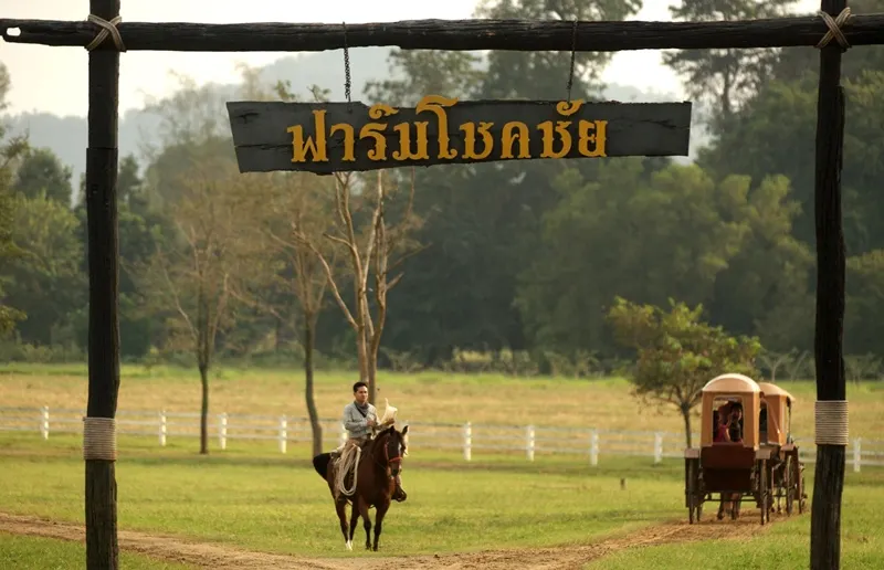 ฟาร์มโชคชัย จ.นครราชสีมา (ที่มา: brandbuffet)