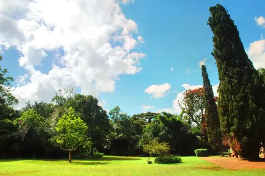 Museum Africa, Johannesburg