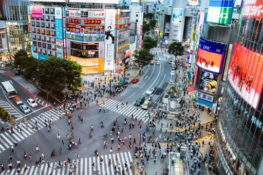 Tokyo Shibuya Crossing