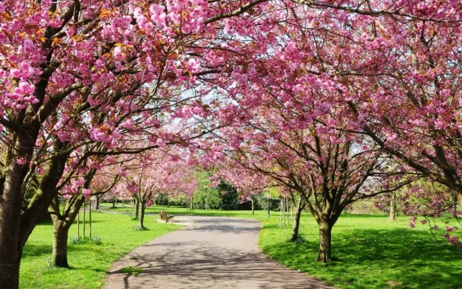 貴陽-花溪公園