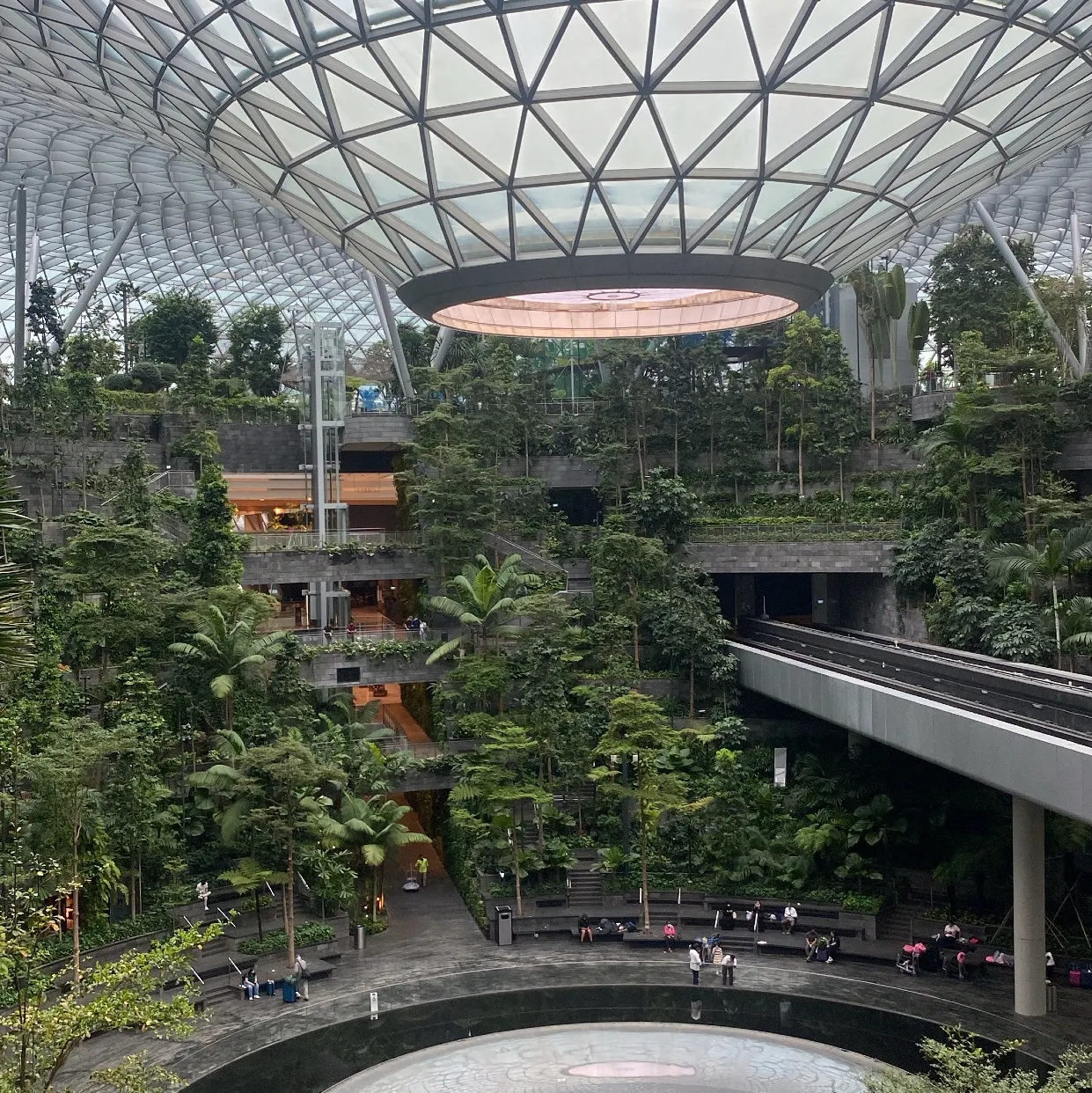 Beautiful Green Airport ( Changi)