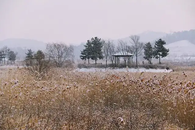 韓国・蔚山の2月の気温