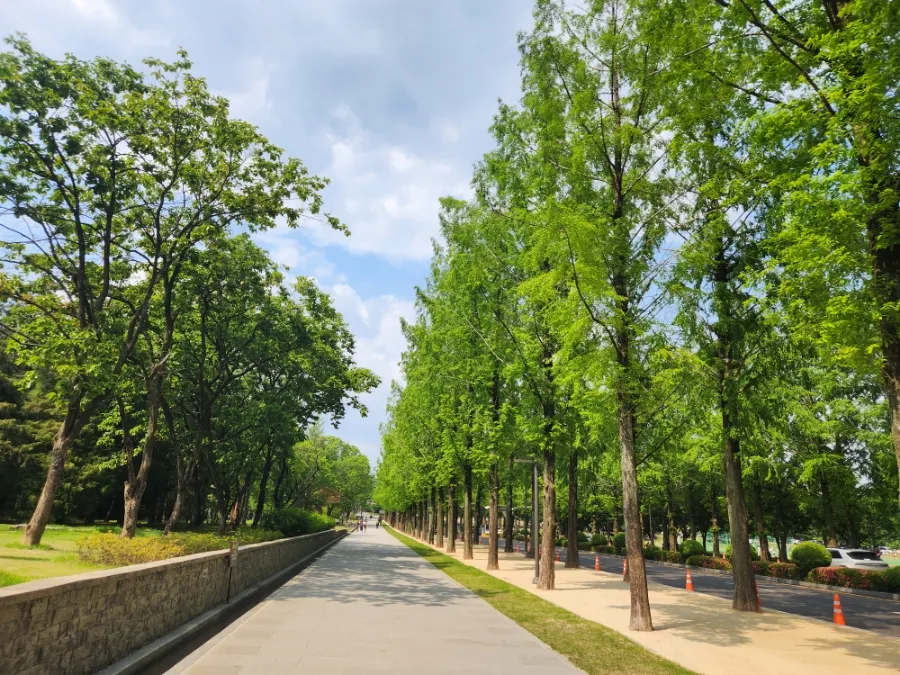 전남대학교 광주캠퍼스 : 출처(naver.com @skymom1313)