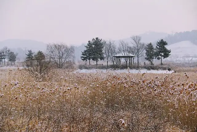 1月の韓国・蔚山の気温