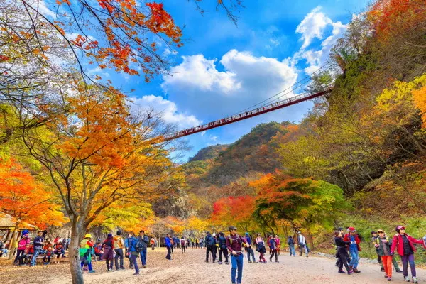 순창군 채계산 출렁다리 관광객 (출처 : 위클리오늘)