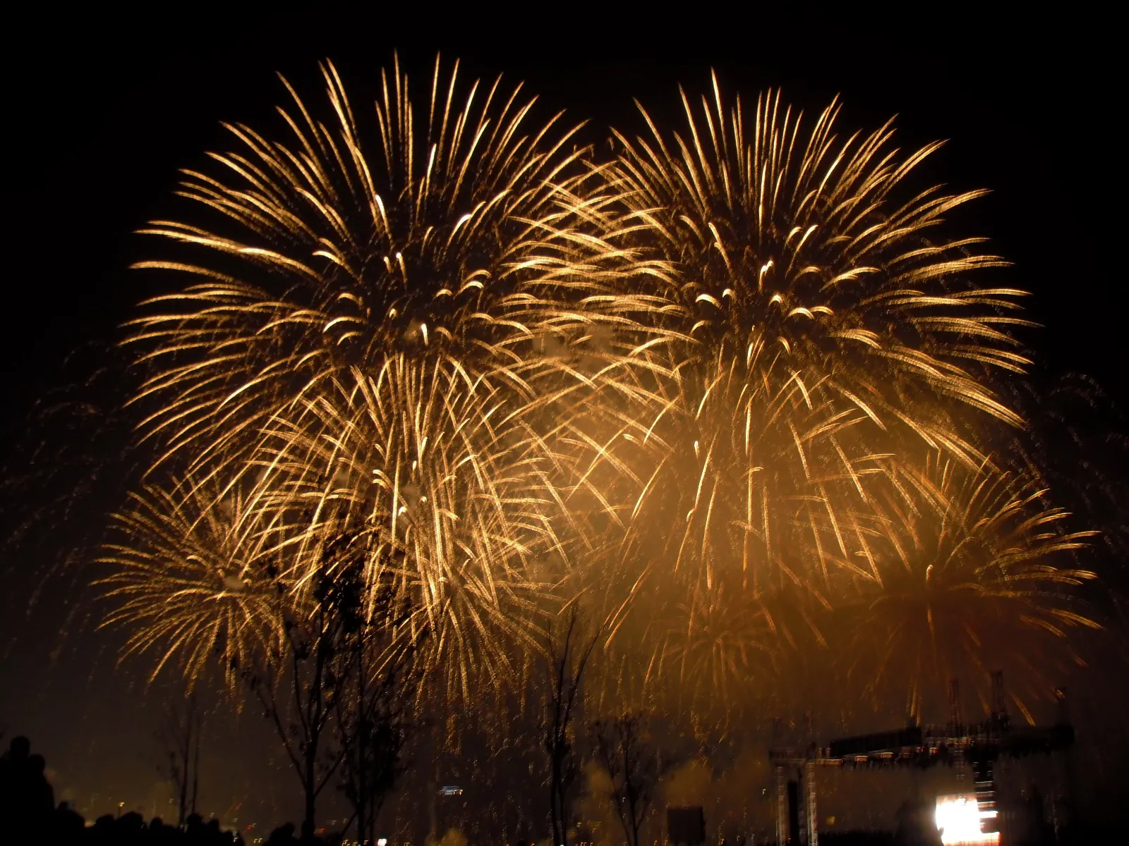 서울세계불꽃축제의 풍경 (출처: 위키피디아)