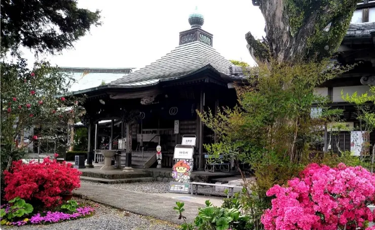 高知県,高知市,種間寺