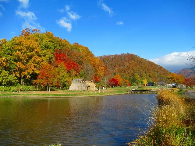 高畠町,秋の紅葉