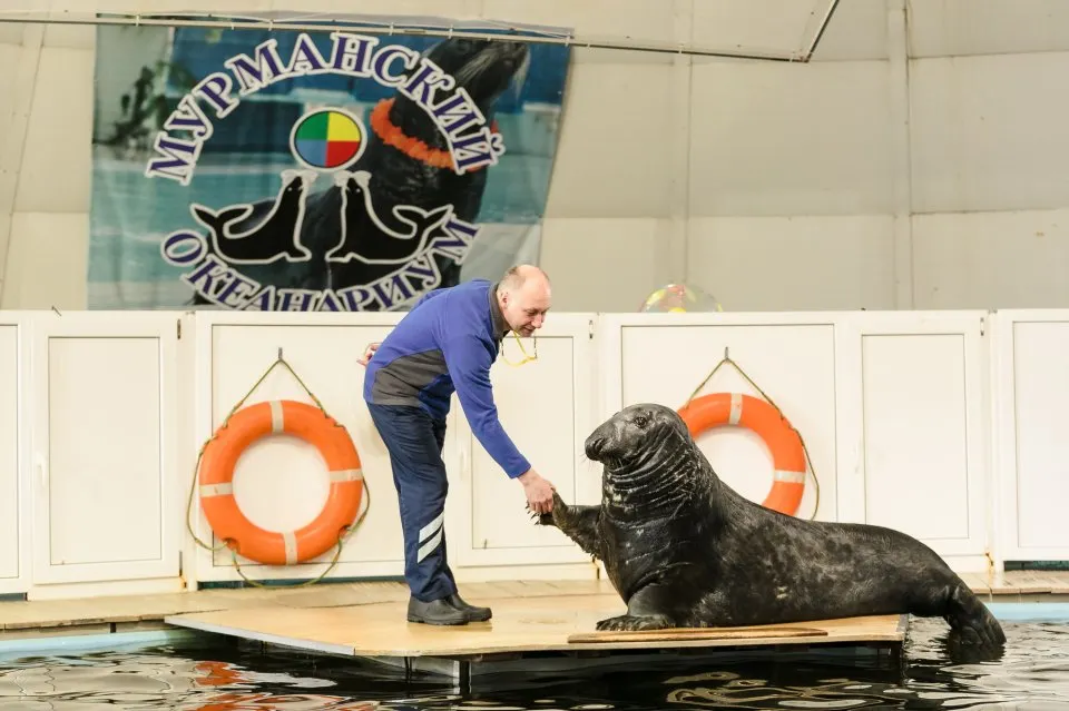 Murmansk Oceanarium. Source: murmansk.travel