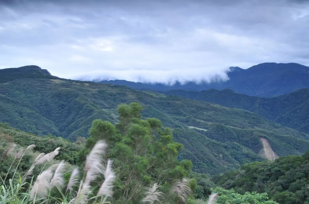 桃園東眼山國家森林遊樂區與雲瀑。