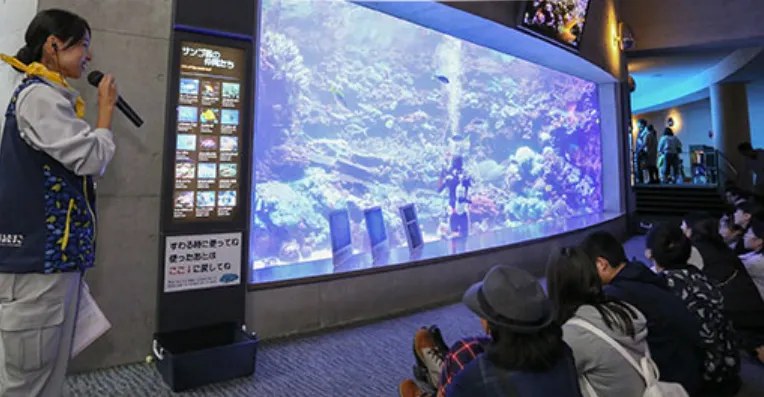 오이타 우미타마고 수족관