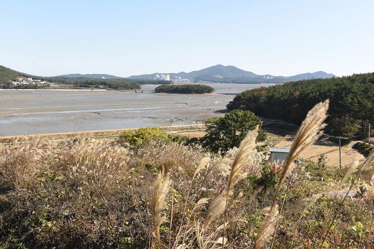 서산 웅도선착장(출처: 굿모닝 충청)