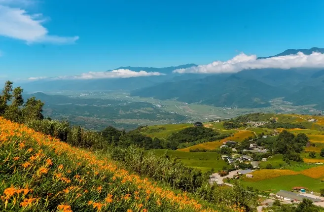 花蓮慈濟科技大學附近的風景