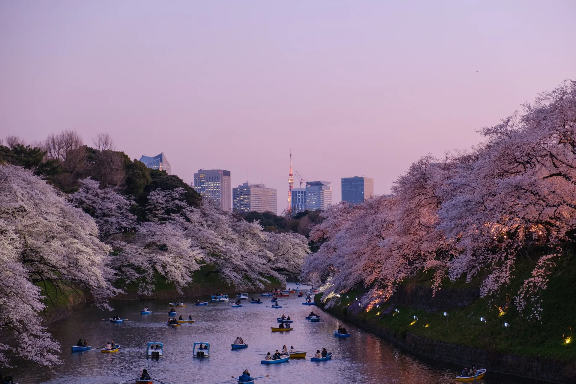 Sumida River in Tokyo. Source: Photo by Yu Kato on Unsplash
