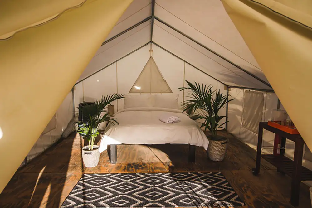 Coachella Camping Tents