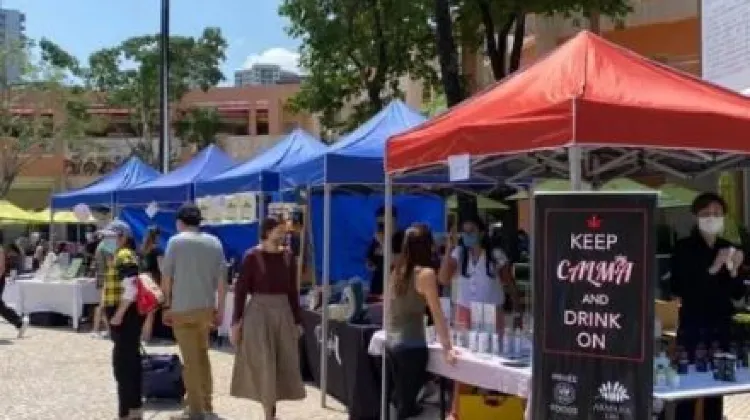 愉景灣露天市集會不定期於每月的星期日舉行