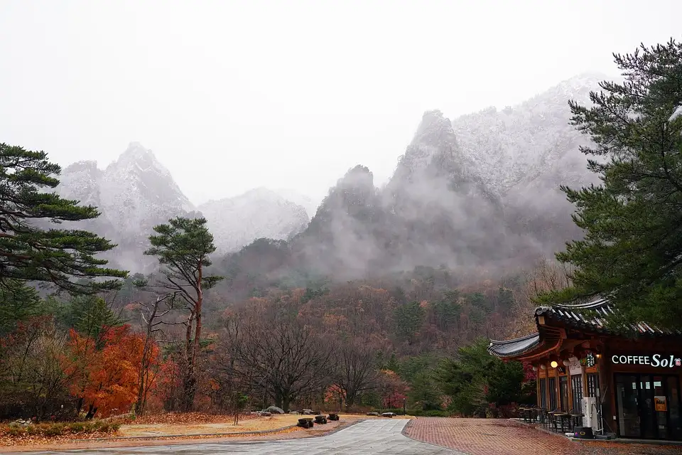 1月の韓国・大田の気温