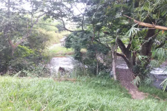 Bombo Lumene National Park, Kinshasa