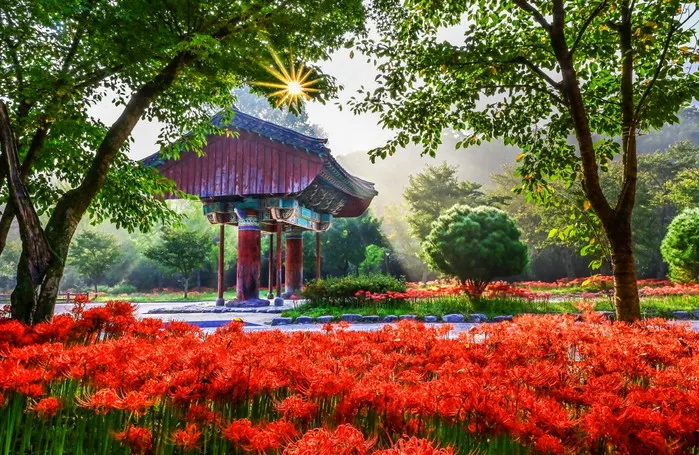 고창군 선운산 (출처: 로컬세계)